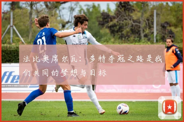 法比奥席尔瓦：多特夺冠之路是我们共同的梦想与目标