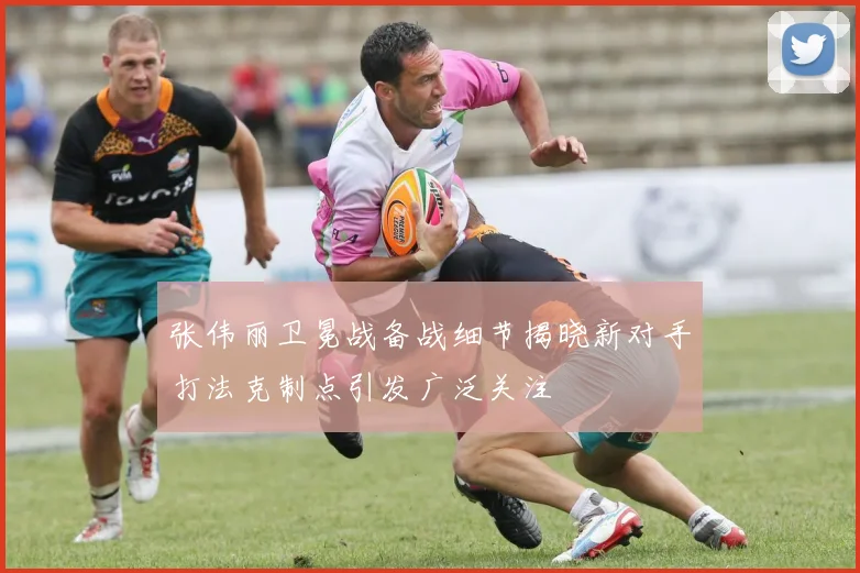 张伟丽卫冕战备战细节揭晓新对手打法克制点引发广泛关注